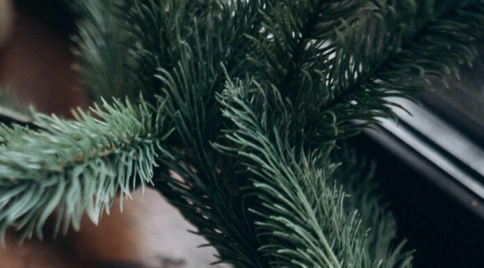 КАК МОЖНО НАЙТИ РЕШЕНИЕ ЛЮБОЙ ПРОБЛЕМЫ ЗА 1 ДЕНЬ?