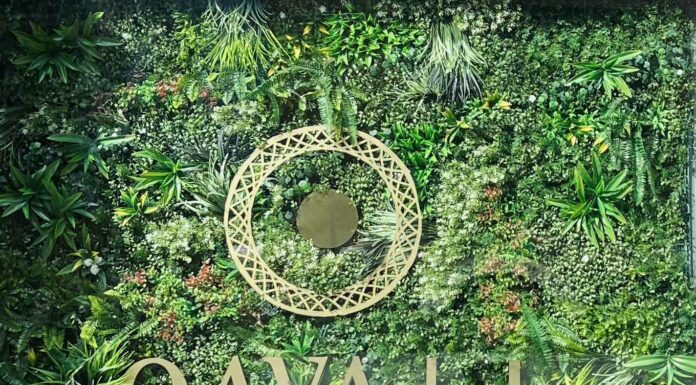 КАК ПРИТЯНУТЬ ФИНАНСОВУЮ УДАЧУ, ПОЛУЧИТЬ ПОВЫШЕНИЕ, НАЛАДИТЬ ОТНОШЕНИЯ И УЛУЧШИТЬ ЗДОРОВЬЕ В БЛИЖАЙШЕЕ ВРЕМЯ?