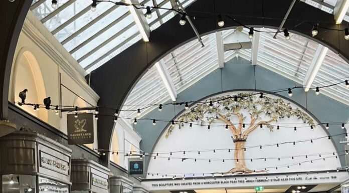 ДЛЯ ТЕХ, КТО ХОЧЕТ ВЫРАСТИ В ДОХОДЕ Х2, Х3 РАЗА В БЛИЖАЙШЕЕ ВРЕМЯ