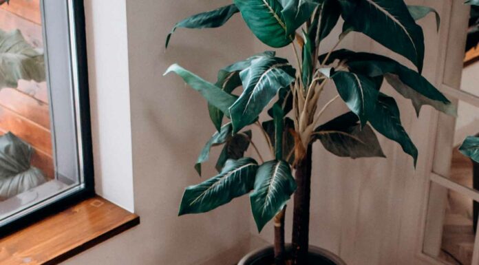 ДЕНЕЖНЫЕ ДАТЫ НА ОКТЯБРЬ