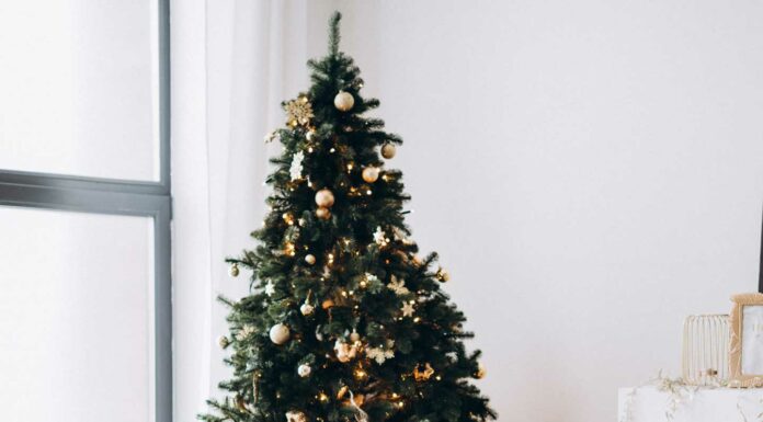 ДЛЯ ТЕХ, КТО ХОЧЕТ ВЫРАСТИ В ДОХОДЕ Х2, Х3 РАЗА В БЛИЖАЙШЕЕ ВРЕМЯ