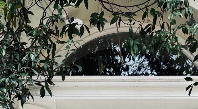 КАК ПРИТЯНУТЬ ФИНАНСОВУЮ УДАЧУ, ПОЛУЧИТЬ ПОВЫШЕНИЕ, НАЛАДИТЬ ОТНОШЕНИЯ И УЛУЧШИТЬ ЗДОРОВЬЕ В БЛИЖАЙШЕЕ ВРЕМЯ?