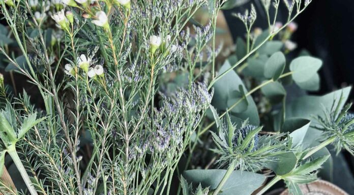 КАК УСПЕШНО ЗАПУСТИТЬ НОВЫЙ ПРОЕКТ, НАЧАТЬ НОВОЕ ДЕЛО ИЛИ ЗАСТУПИТЬ НА НОВЫЙ ПОСТ