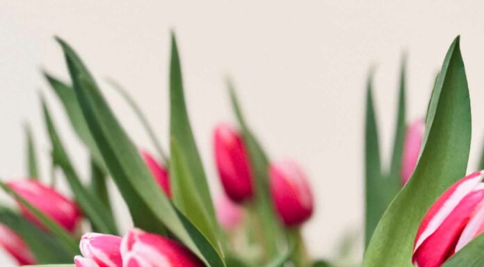 КАК УСКОРИТЬ РЕАЛИЗАЦИЮ ПРОЕКТОВ, ПРОДВИЖЕНИЕ БИЗНЕСА И ЗАРАБОТАТЬ ДЕНЬГИ