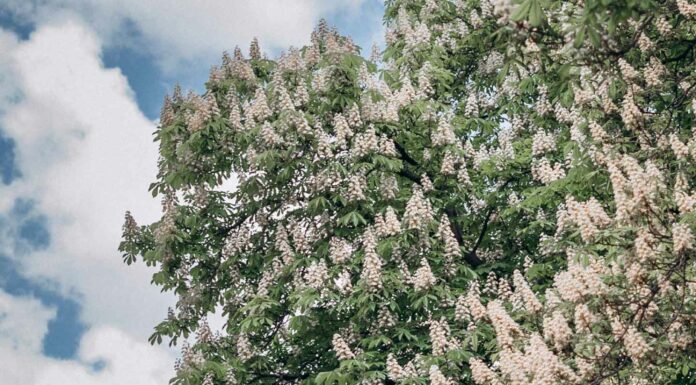 КАК УСКОРИТЬ РЕАЛИЗАЦИЮ ПРОЕКТОВ, ПРОДВИЖЕНИЕ БИЗНЕСА И ЗАРАБОТАТЬ ДЕНЬГИ