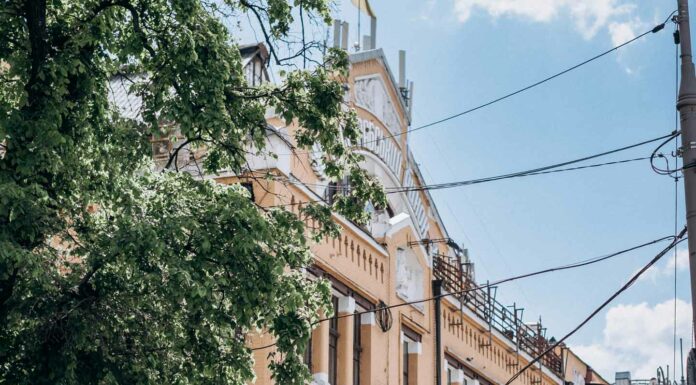 ДЛЯ УДАЧНЫХ ПЕРЕГОВОРОВ, КАРЬЕРЫ И РОСТА ДОХОДА