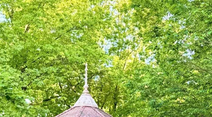 КАК УСКОРИТЬ РЕАЛИЗАЦИЮ ПРОЕКТОВ, ПРОДВИЖЕНИЕ БИЗНЕСА И ЗАРАБОТАТЬ ДЕНЬГИ