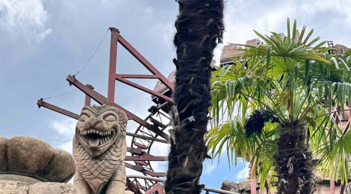 КАК УСПЕШНО ЗАПУСТИТЬ НОВЫЙ ПРОЕКТ, НАЧАТЬ НОВОЕ ДЕЛО ИЛИ ЗАСТУПИТЬ НА НОВЫЙ ПОСТ