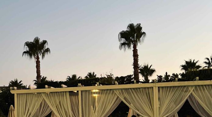 ДЛЯ ТЕХ, КТО ХОЧЕТ ВЫРАСТИ В ДОХОДЕ Х2, Х3 РАЗА В БЛИЖАЙШЕЕ ВРЕМЯ