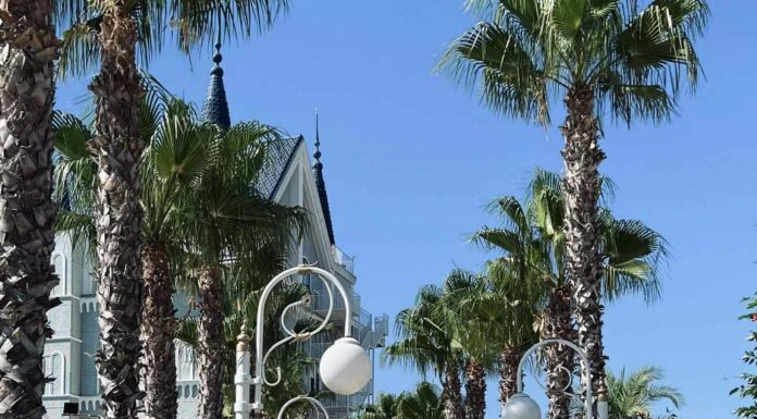 КАК УСКОРИТЬ РЕАЛИЗАЦИЮ ПРОЕКТОВ, ПРОДВИЖЕНИЕ БИЗНЕСА И ЗАРАБОТАТЬ ДЕНЬГИ