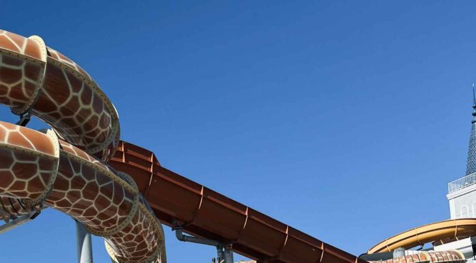 КАК ПРИТЯНУТЬ ФИНАНСОВУЮ УДАЧУ, ПОЛУЧИТЬ ПОВЫШЕНИЕ И УЛУЧШИТЬ ЗДОРОВЬЕ В БЛИЖАЙШЕЕ ВРЕМЯ?