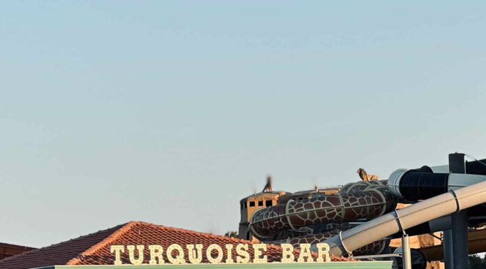 КАК ПРИТЯНУТЬ ФИНАНСОВУЮ УДАЧУ, ПОЛУЧИТЬ ПОВЫШЕНИЕ, НАЛАДИТЬ ОТНОШЕНИЯ И УЛУЧШИТЬ ЗДОРОВЬЕ В БЛИЖАЙШЕЕ ВРЕМЯ?