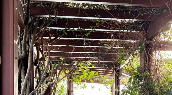 ДЛЯ ТЕХ, КТО ХОЧЕТ ВЫРАСТИ В ДОХОДЕ Х2, Х3 РАЗА В БЛИЖАЙШЕЕ ВРЕМЯ