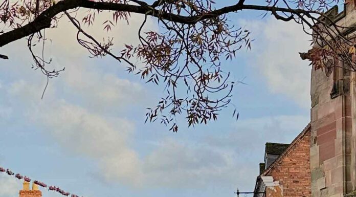 КАК МОЖНО НАЙТИ РЕШЕНИЕ ЛЮБОЙ ПРОБЛЕМЫ ЗА 1 ДЕНЬ?