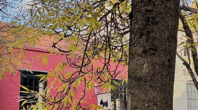 КАК УСПЕШНО ЗАПУСТИТЬ НОВЫЙ ПРОЕКТ, НАЧАТЬ НОВОЕ ДЕЛО ИЛИ ЗАСТУПИТЬ НА НОВЫЙ ПОСТ