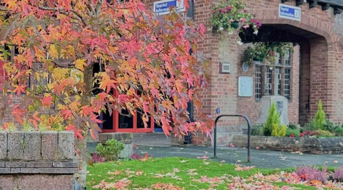 КАК ПРИТЯНУТЬ ФИНАНСОВУЮ УДАЧУ, ПОЛУЧИТЬ ПОВЫШЕНИЕ, НАЛАДИТЬ ОТНОШЕНИЯ, УЛУЧШИТЬ ЗДОРОВЬЕ В БЛИЖАЙШЕЕ ВРЕМЯ?