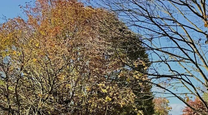 ПРИТЯГИВАЕМ ЗНАКОМСТВА И РАДОСТНЫЕ СОБЫТИЯ