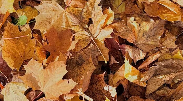 КАК МОЖНО НАЙТИ РЕШЕНИЕ ЛЮБОЙ ПРОБЛЕМЫ ЗА 1 ДЕНЬ?