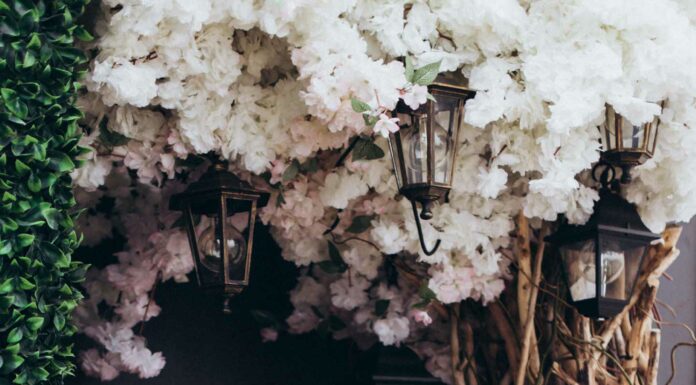 2,5 ГОДА ОЖИДАНИЙ — И ЧТО ДАЛЬШЕ?