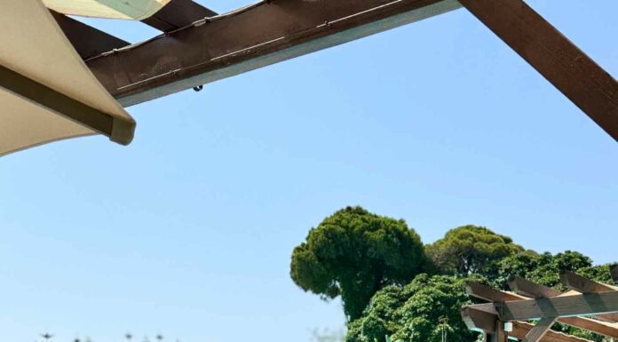 ДЛЯ ТЕХ, КТО ХОЧЕТ ВЫРАСТИ В ДОХОДЕ Х2, Х3 РАЗА В БЛИЖАЙШЕЕ ВРЕМЯ