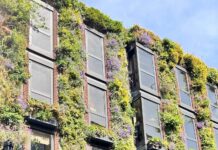 ОРАКУЛ В ДЕЛЕ: РАЗБОРЫ ПОДПИСЧИКОВ