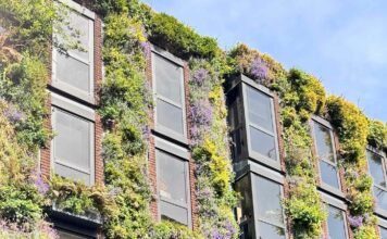 КАК УСПЕШНО ЗАПУСТИТЬ НОВЫЙ ПРОЕКТ, НАЧАТЬ НОВОЕ ДЕЛО ИЛИ ЗАСТУПИТЬ НА НОВЫЙ ПОСТ