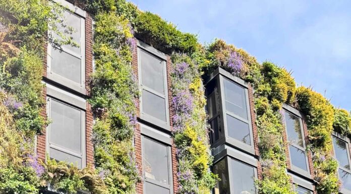 КАК УСПЕШНО ЗАПУСТИТЬ НОВЫЙ ПРОЕКТ, НАЧАТЬ НОВОЕ ДЕЛО ИЛИ ЗАСТУПИТЬ НА НОВЫЙ ПОСТ