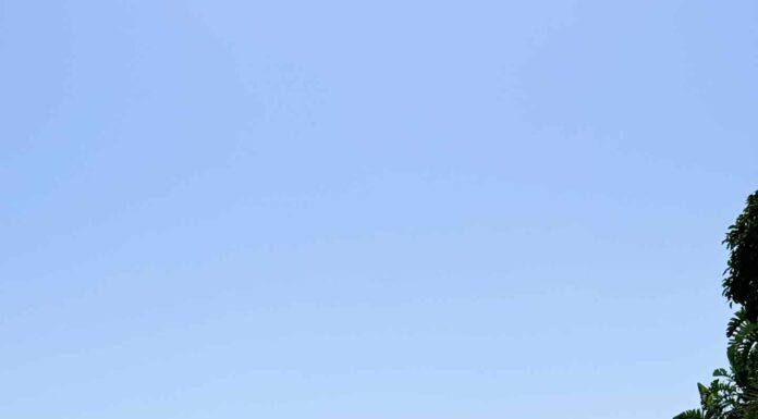 ДЛЯ ТЕХ, КТО ХОЧЕТ ВЫРАСТИ В ДОХОДЕ Х2, Х3 РАЗА В БЛИЖАЙШЕЕ ВРЕМЯ