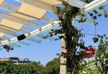 КАК МОЖНО НАЙТИ РЕШЕНИЕ ЛЮБОЙ ПРОБЛЕМЫ ЗА 1 ДЕНЬ?