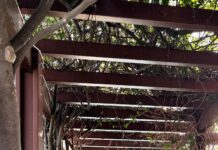 ДЛЯ ТЕХ, КТО ХОЧЕТ ВЫРАСТИ В ДОХОДЕ Х2, Х3 РАЗА В БЛИЖАЙШЕЕ ВРЕМЯ