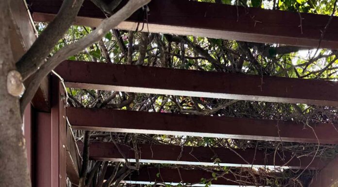 ДЛЯ ТЕХ, КТО ХОЧЕТ ВЫРАСТИ В ДОХОДЕ Х2, Х3 РАЗА В БЛИЖАЙШЕЕ ВРЕМЯ