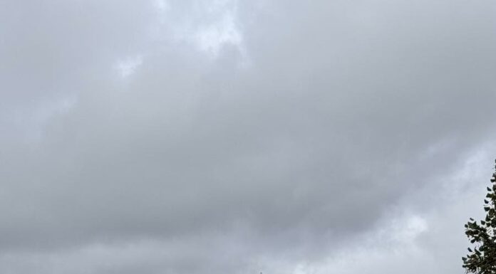 ДЛЯ ТЕХ, КТО ХОЧЕТ ВЫРАСТИ В ДОХОДЕ Х2, Х3 РАЗА В БЛИЖАЙШЕЕ ВРЕМЯ