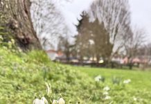 БОЛЬШОЙ АСТРОПРОГНОЗ НА МАРТ 2026 ДЛЯ ВСЕХ ЗНАКОВ