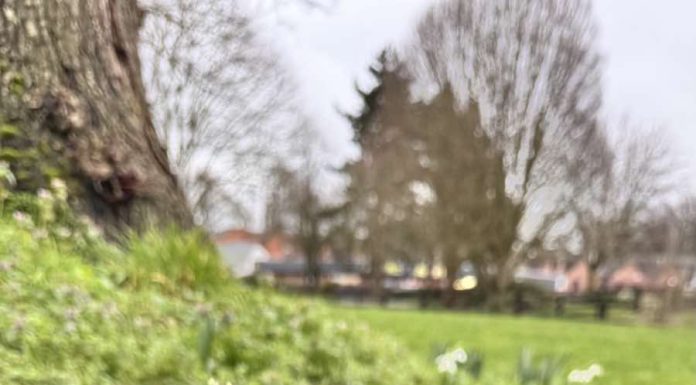 БОЛЬШОЙ АСТРОПРОГНОЗ НА МАРТ 2026 ДЛЯ ВСЕХ ЗНАКОВ