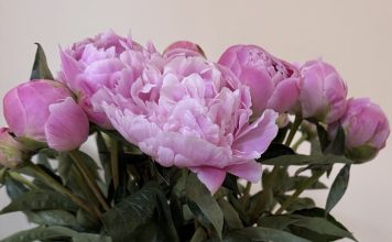 КТО МОЖЕТ КУПИТЬ ЖИЛЬЕ НЕОЖИДАННО БЫСТРО