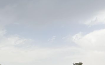 КАК ПОНЯТЬ, КАКАЯ РАБОТА ПОДХОДИТ ИМЕННО ВАМ?