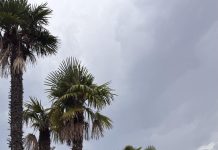 КАК УСПЕШНО ЗАПУСТИТЬ НОВЫЙ ПРОЕКТ, НАЧАТЬ НОВОЕ ДЕЛО ИЛИ ВСТУПИТЬ В НОВУЮ ДОЛЖНОСТЬ