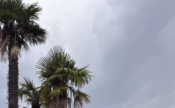 КАК УСПЕШНО ЗАПУСТИТЬ НОВЫЙ ПРОЕКТ, НАЧАТЬ НОВОЕ ДЕЛО ИЛИ ВСТУПИТЬ В НОВУЮ ДОЛЖНОСТЬ