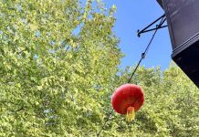 КОГДА ДЕЛАТЬ ВАЖНОЕ В НОЯБРЕ: КАЛЕНДАРЬ УДАЧНЫХ ДАТ